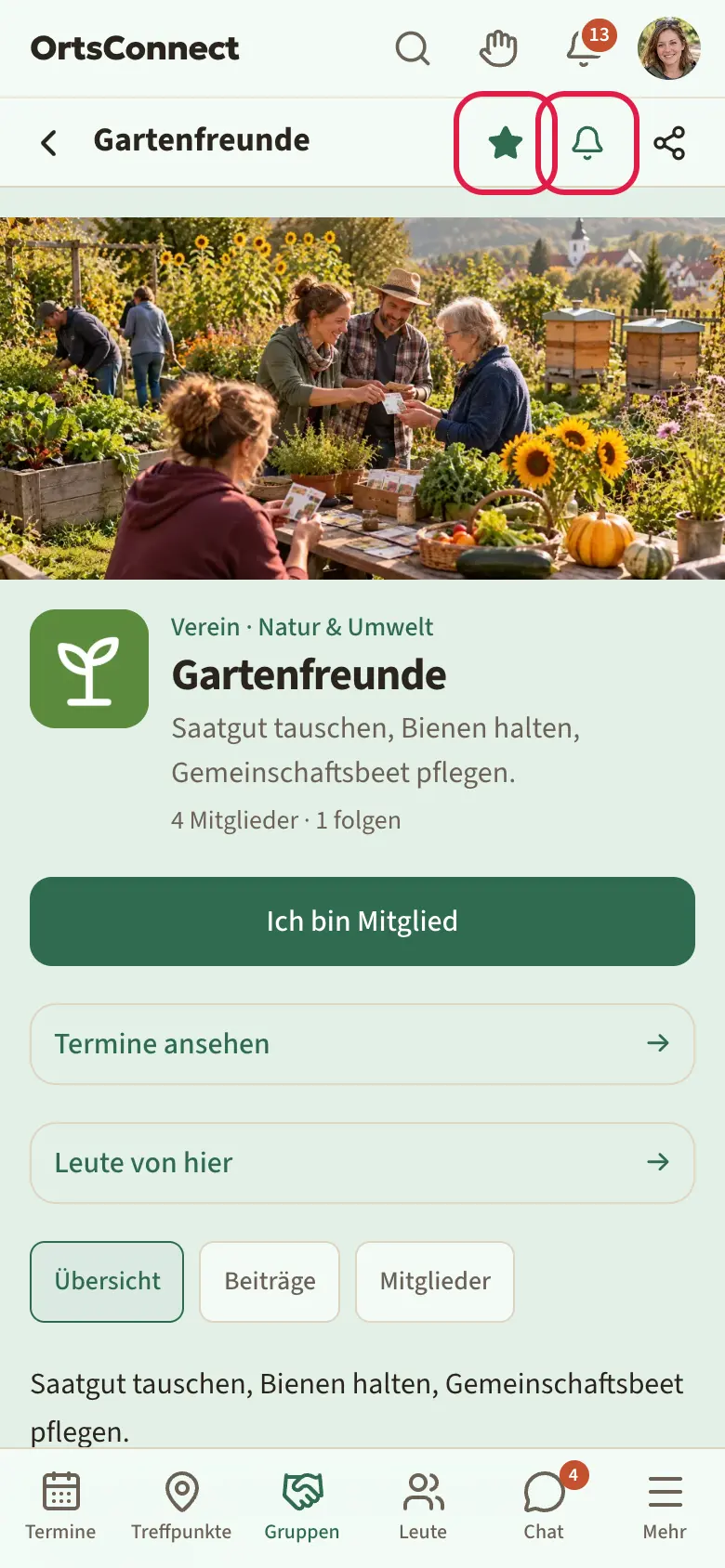 Seite einer Organisation, oben im Seitenkopf der ausgefüllte Stern und daneben die Glocke markiert, darunter Titelbild und Name der Organisation