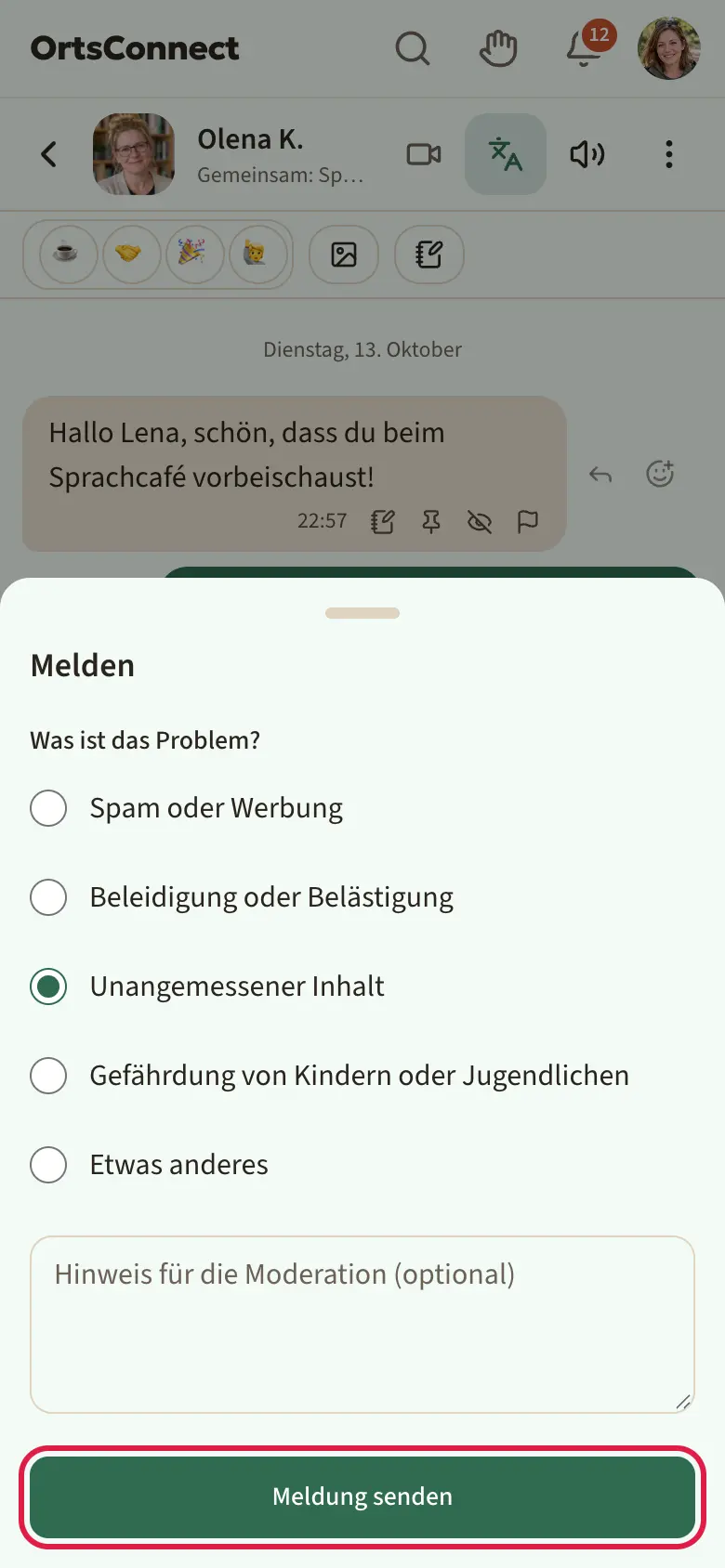 geöffnetes Fenster „Melden“ mit den fünf Gründen als Auswahlpunkte (Unangemessener Inhalt ausgewählt), darunter das Hinweisfeld und der Knopf „Meldung senden“ markiert