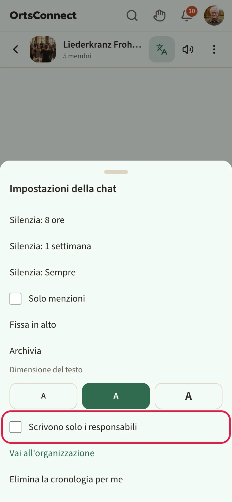 Chat di gruppo con le «Impostazioni della chat» aperte, spunta «Scrivono solo i responsabili» attiva