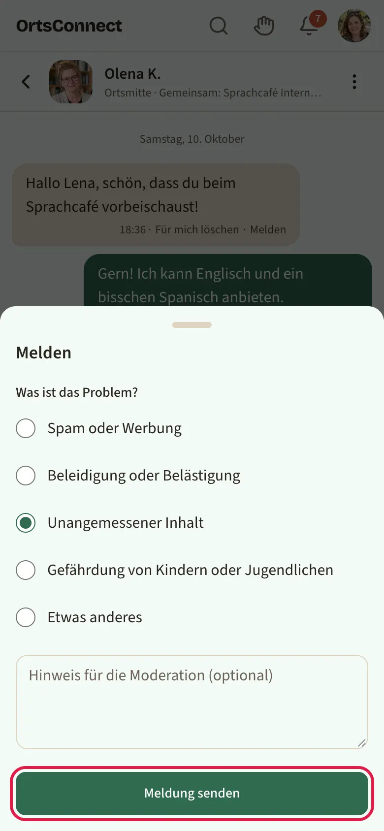 geöffnetes Fenster „Melden“ mit den fünf Gründen als Auswahlpunkte (Unangemessener Inhalt ausgewählt), darunter das Hinweisfeld und der Knopf „Meldung senden“ markiert