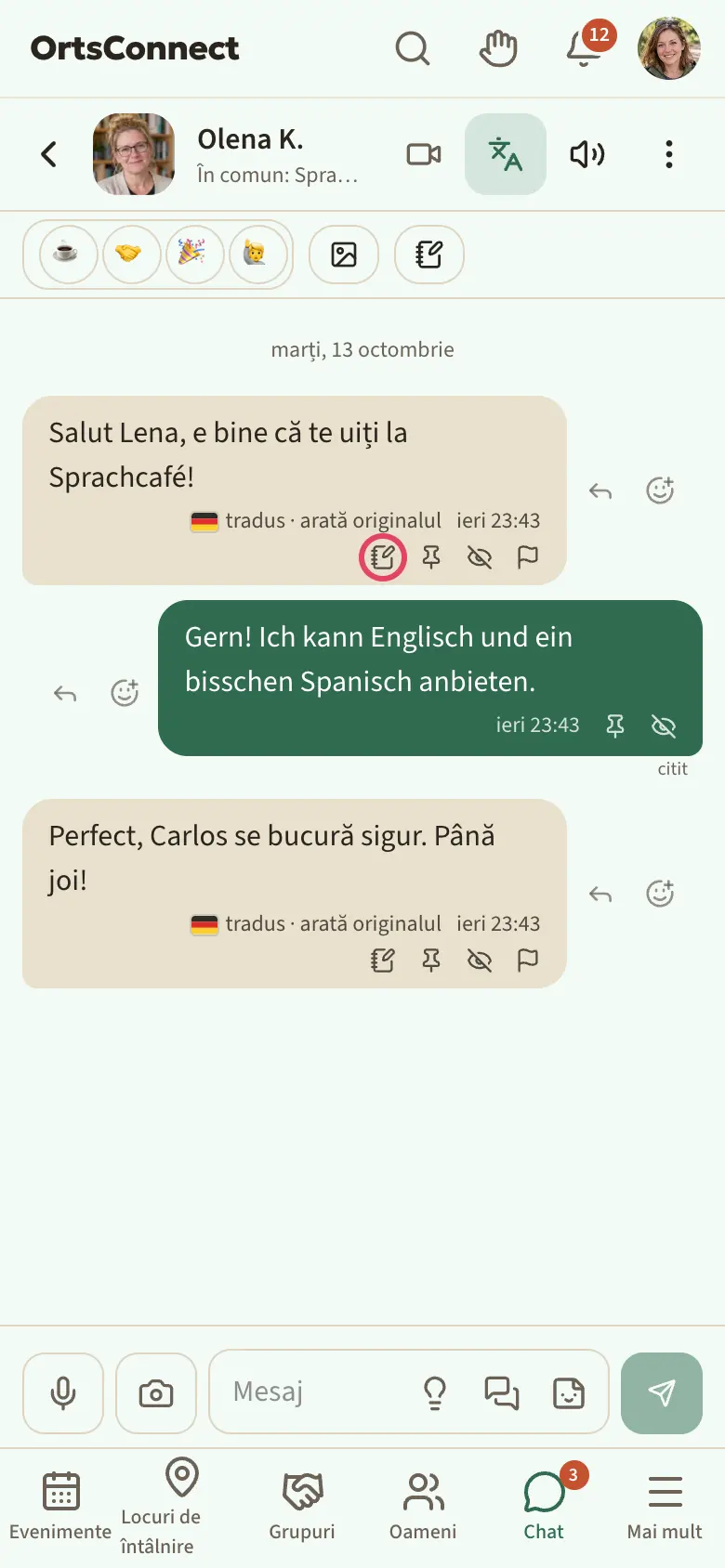 Mesajul altcuiva într-un chat direct: lângă bulă săgeata pentru a răspunde și ⊕ pentru a reacționa, dedesubt rândul cu ora cu „În notițele mele · Fixează · Șterge pentru mine · Raportează”; sus bara „Fixate” cu un mesaj fixat