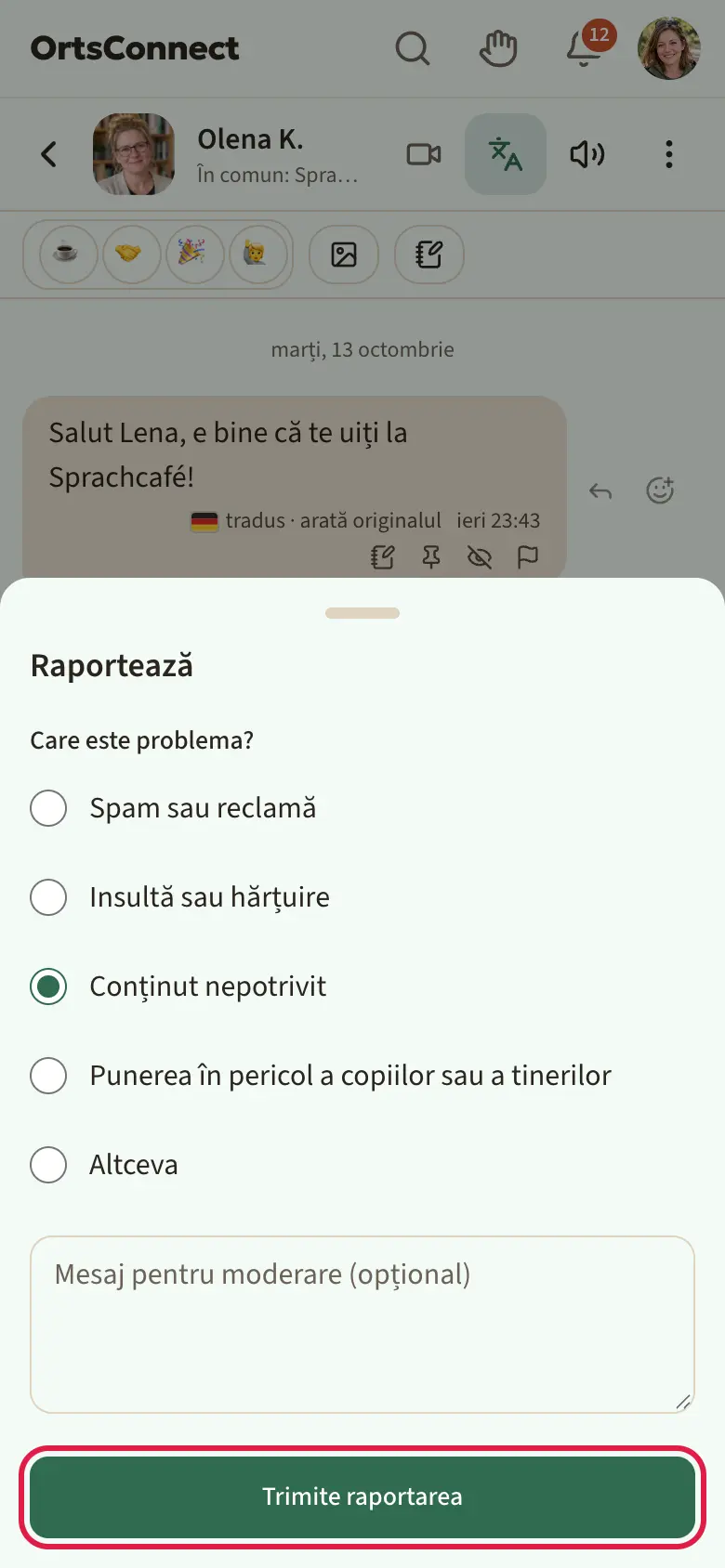 Fereastra „Raportează” deschisă, cu cele cinci motive ca opțiuni (Conținut nepotrivit selectat), dedesubt câmpul pentru mesaj și butonul „Trimite raportarea” marcat