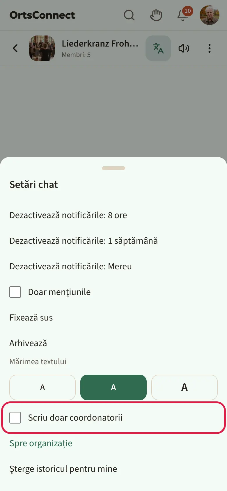 Chat de grup cu „Setări chat” deschise, bifa „Scriu doar coordonatorii” marcată