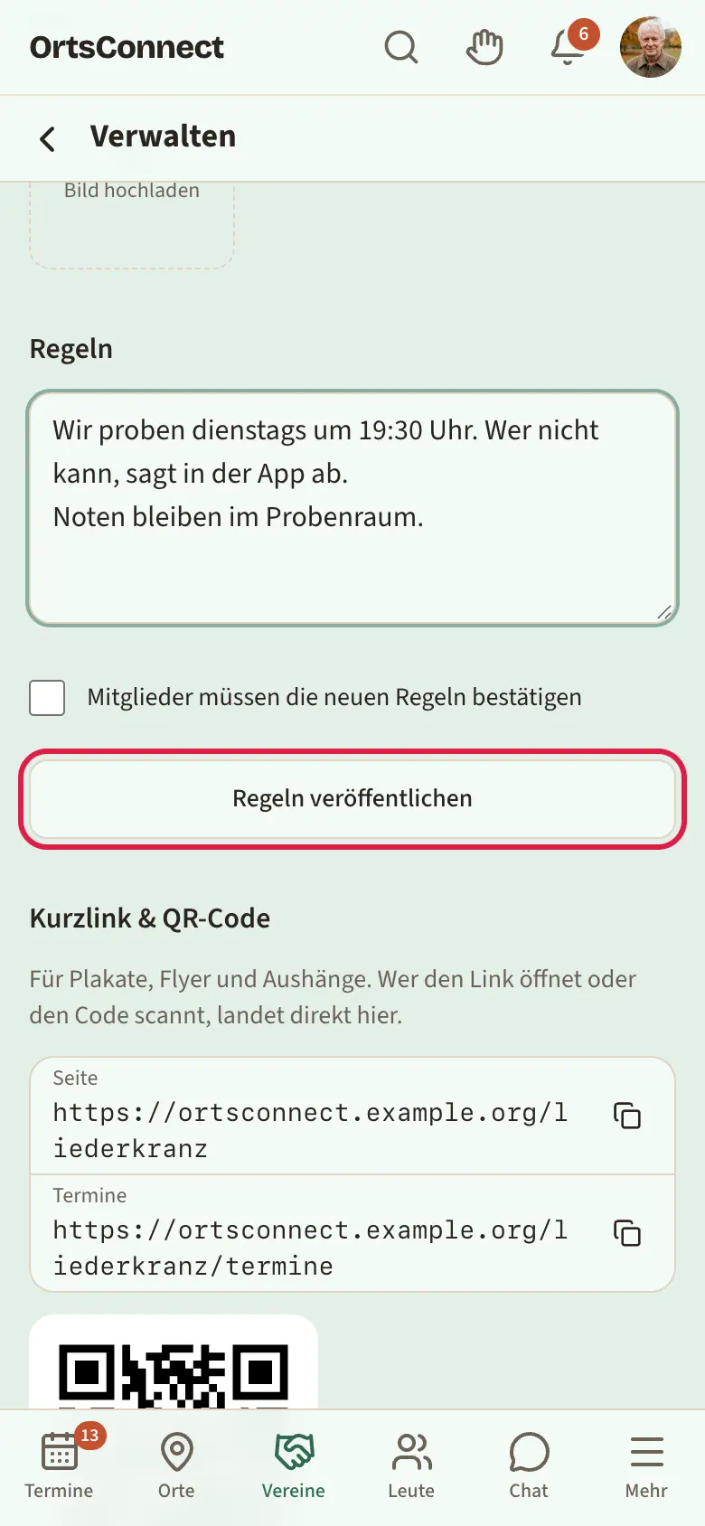 Einstellungen, Bereich „Regeln“ mit Versionsnummer, Textfeld, Haken „Mitglieder müssen die neuen Regeln bestätigen“ und Knopf „Regeln veröffentlichen“