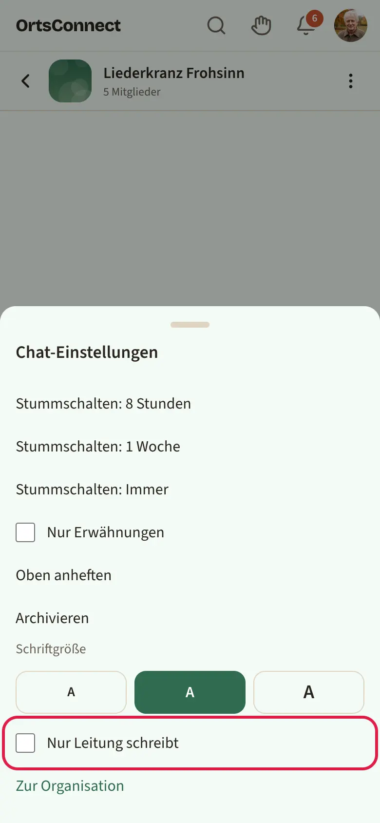 Gruppenchat mit geöffneten „Chat-Einstellungen“, Haken „Nur Leitung schreibt“ markiert